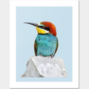 Brightly Colored European Bee Eater Vector Art Posters and Art